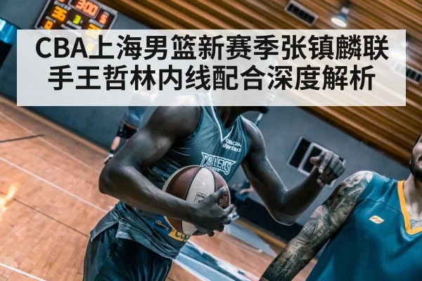 CBA上海男篮新赛季张镇麟联手王哲林内线配合深度解析